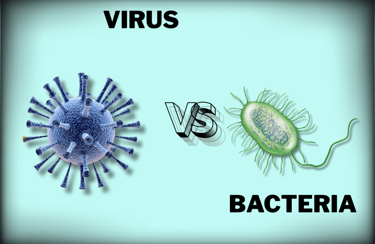 10 Difference between Virus and Bacteria