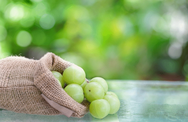 Health Benefits of Amla