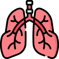 Respiratory