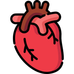 Heart Care