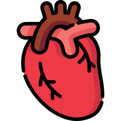 Heart Care